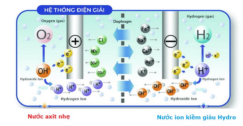 Nguyên lý máy lọc nước ion kiềm